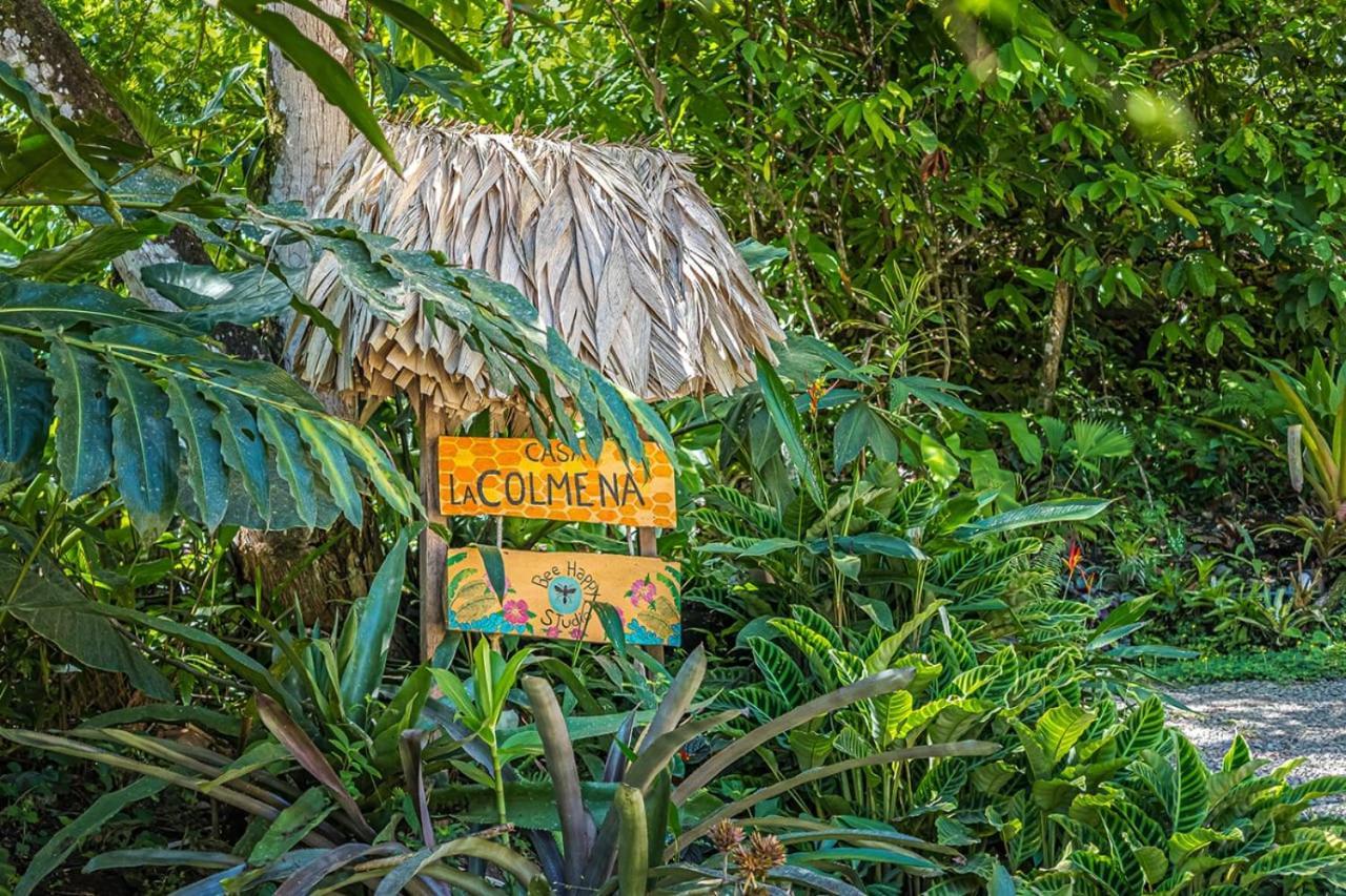 Casa La Colmena Βίλα Cahuita Εξωτερικό φωτογραφία